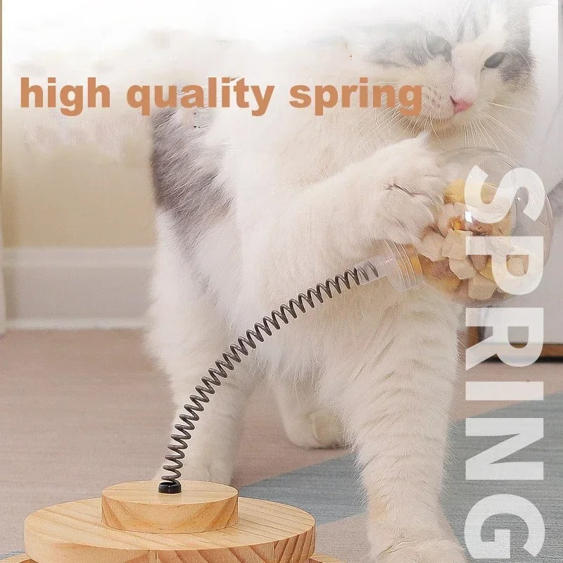 Solid Wood Spring Turntable Cat Toy