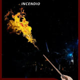 Harry Potters Magic Fire Wand