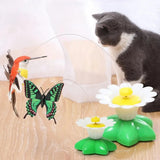 Interactive Bird Toy For Cat