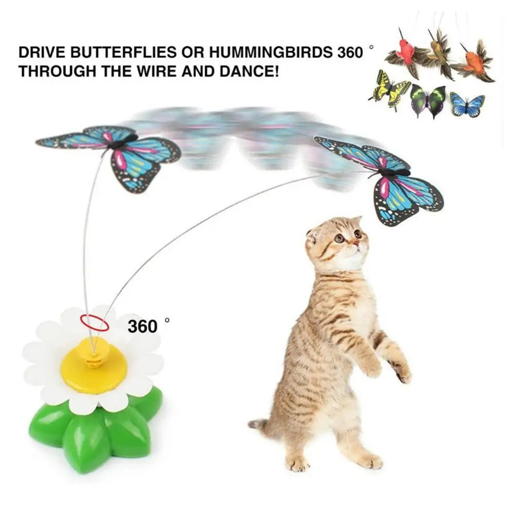 Interactive Bird Toy For Cat