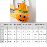 43346059755651|43346059788419|43346059821187|43346059853955