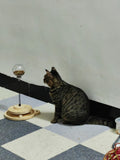 Solid Wood Spring Turntable Cat Toy