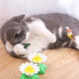 Interactive Bird Toy For Cat