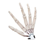 3D Printed Wearable Long Fingers