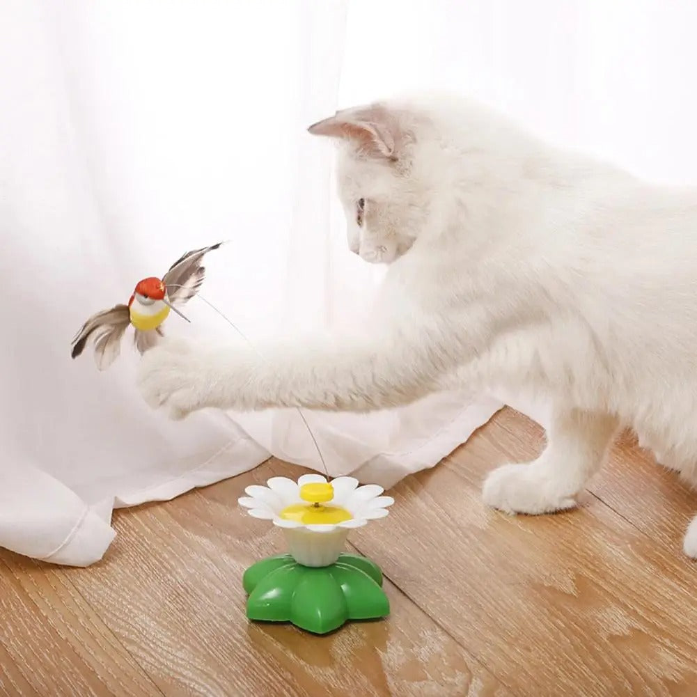 Interactive Bird Toy For Cat