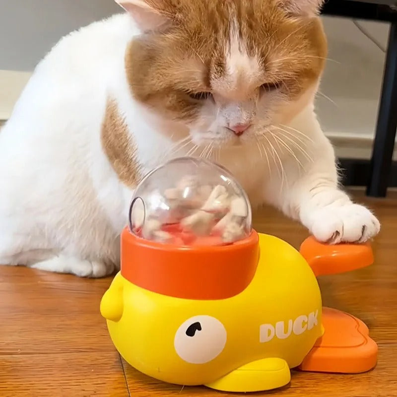 Dog and cat educational feeder toys