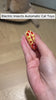 Electric Insects Automatic Cat Toys