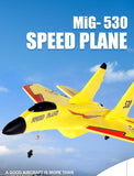 2.4g Glider RC Drone Fixed Wing Hand Electric Airplane